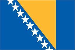 Bosnia 3X5 Flag