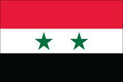 Syria 3x5 Flag