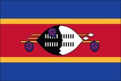 Swaziland 3x5 Flag