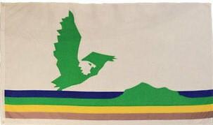 Cape Breton 3x5 Flag