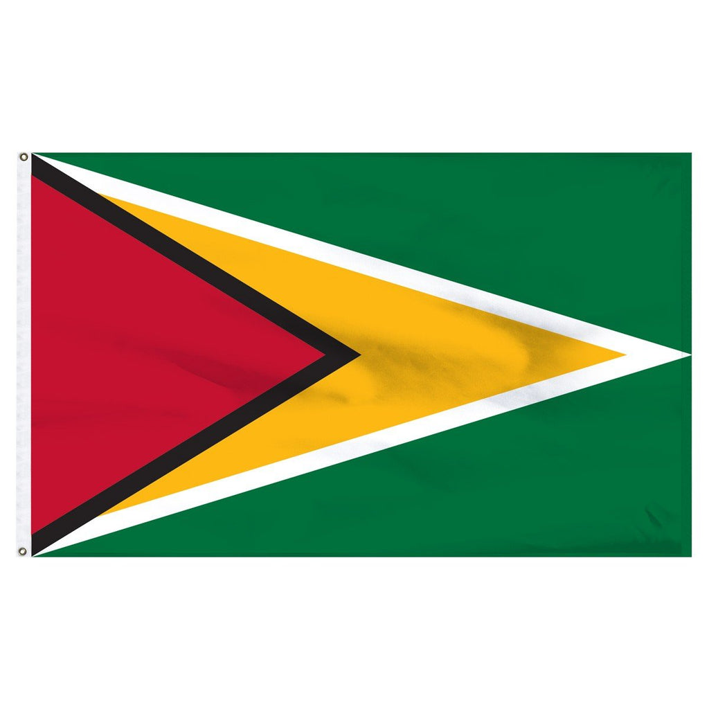 Guyana 2'x3' Flags