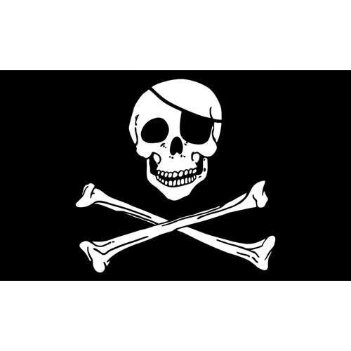 Skull 2'x3' Flags