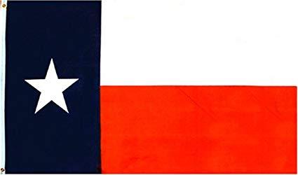 Texas 2'x3' Flags